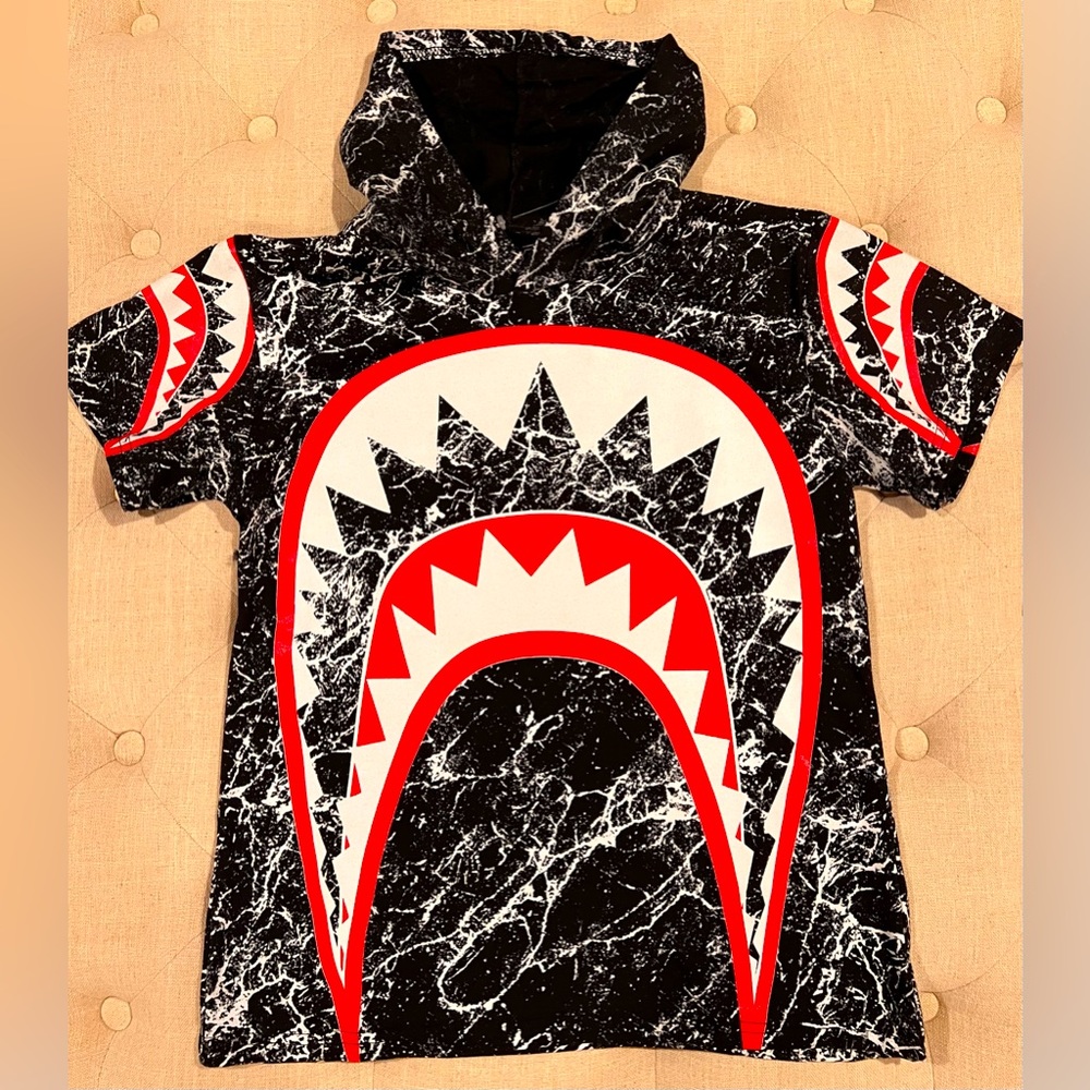 Boys T-shirt size medium brand new. Hooded.  Fresh laundry